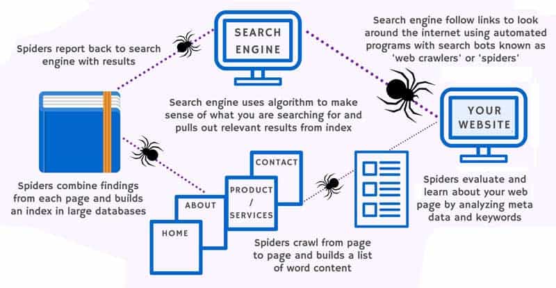 arañas de google rastreando web